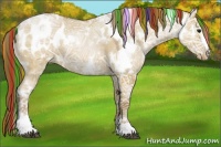 Horse Color:Painted White Spotted Grullo Ice Pearl Sabino Appaloosa 