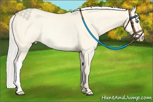 Horse Color:Silver Perlino Dun Rabicano 