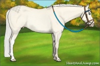 Horse Color:Silver Perlino Dun Rabicano
