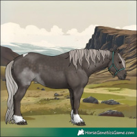 Horse Color:Silver Black Tobiano 