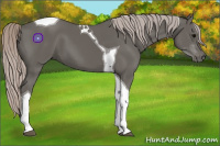 Horse Color:Silver Black Tobiano 