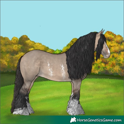 Horse Color:Bay Dun Sabino
