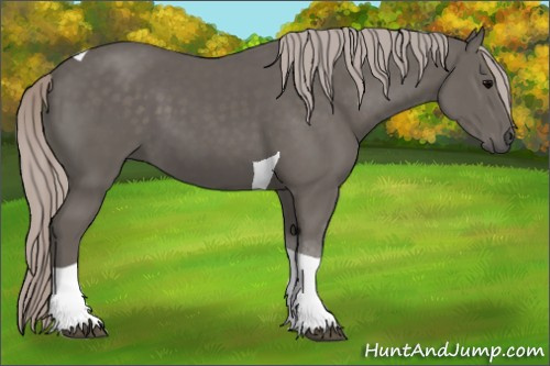 Horse Color:Silver Black Tobiano 