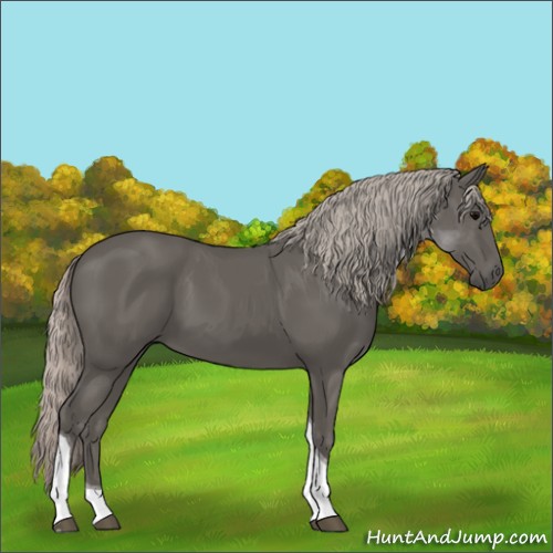 Horse Color:Silver Black Tobiano