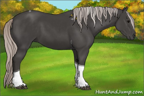 Horse Color:Silver Black Tobiano