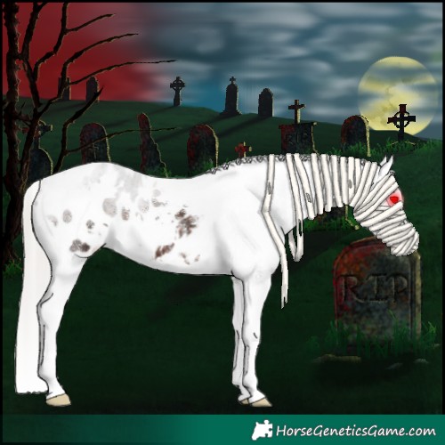 Horse Color:White Spotted Silver Brown Appaloosa 