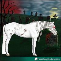 Horse Color:White Spotted Silver Brown Appaloosa 