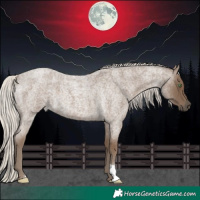 Horse Color:Silver Smoky Blue Roan 