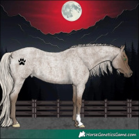 Horse Color:Silver Smoky Blue Roan