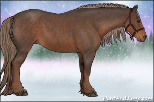 Horse Color:Liver Red Roan 