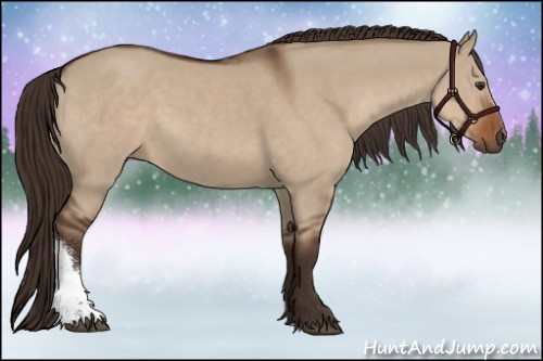 Horse Color:Liver Red Dun 