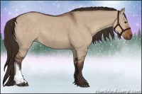 Horse Color:Liver Red Dun 