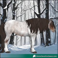 Horse Color:Liver Red Roan Tobiano Frame Rabicano 
