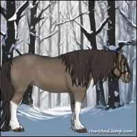Horse Color:Smoky Grullo 