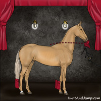 Horse Color:Palomino 