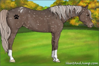 Horse Color:Silver Black Snowflake Varnish 