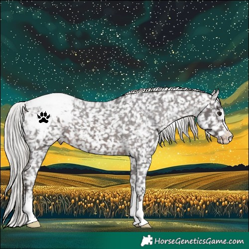 Horse Color:Silver Brown Snowcap