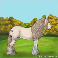 Horse Color:Perlino Dun 