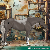 Horse Color:Silver Black Tobiano 