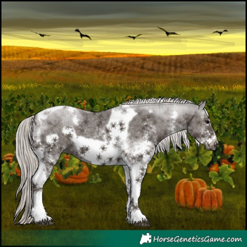 Horse Color:White Spotted Silver Black Tobiano Frame 