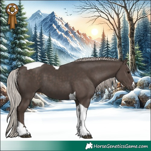 Horse Color:Silver Black Tobiano