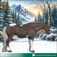 Horse Color:Silver Black Tobiano 