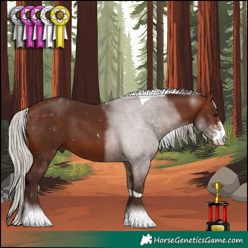Horse Color:Silver Bay Sabino Tobiano 