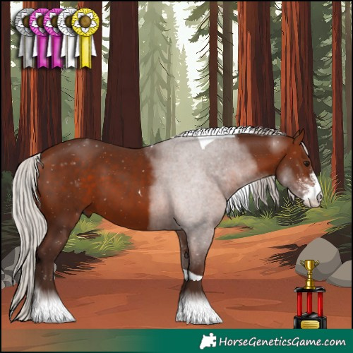 Horse Color:Silver Bay Sabino Tobiano 