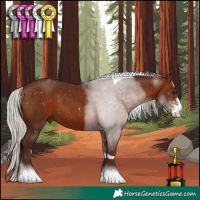 Horse Color:Silver Bay Sabino Tobiano