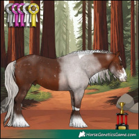 Horse Color:Silver Bay Sabino Tobiano