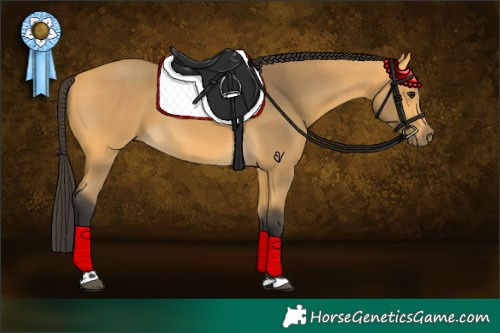 Horse Color:Buckskin 