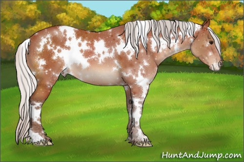 Horse Color:White Spotted Silver Bay 