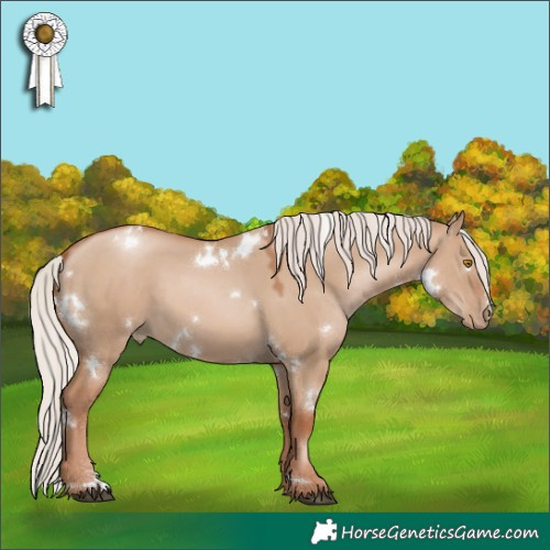 Horse Color:White Spotted Silver Grullo Pearl Sabino 