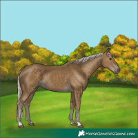 Horse Color:Silver Smoky Black 