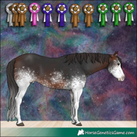 Horse Color:White Spotted Brown