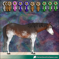 Horse Color:White Spotted Brown 