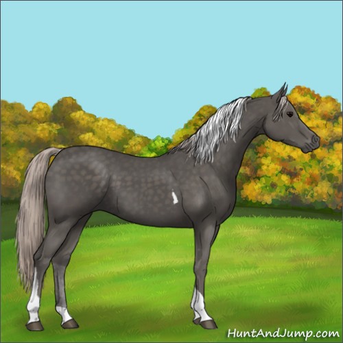 Horse Color:Silver Black Tobiano