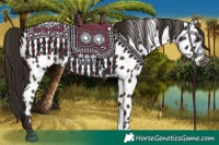 Horse Color:Liver Chestnut Near Leopard 