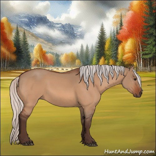 Horse Color:Silver Bay Dun 