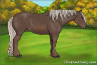 Horse Color:Silver Black 