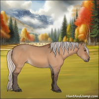 Horse Color:Silver Bay Dun
