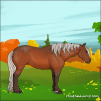 Horse Color:Silver Bay 