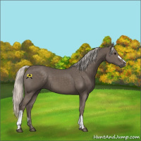 Horse Color:Silver Black 