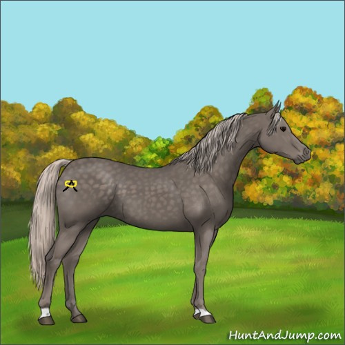 Horse Color:Silver Black 