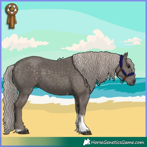 Horse Color:Silver Black Tobiano