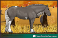 Horse Color:Silver Black Tobiano