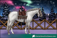 Horse Color:Silver Grullo Roan