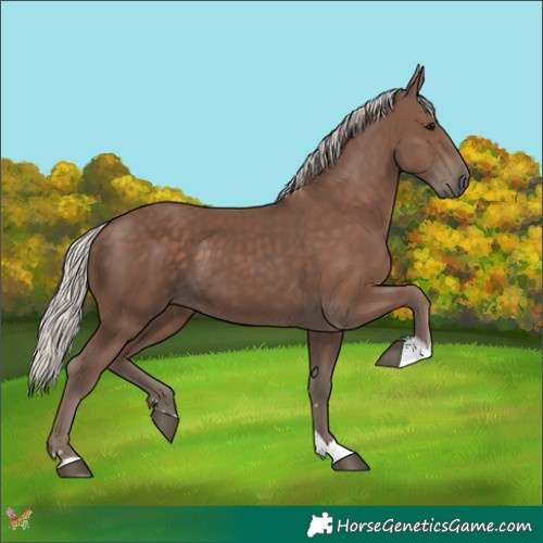 Horse Color:Silver Black