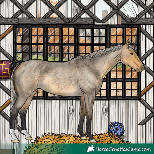 Horse Color:Silver Buckskin Roan Dun 