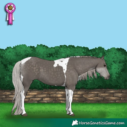 Horse Color:Silver Black Tobiano 
